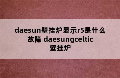 daesun壁挂炉显示r5是什么故障 daesungceltic壁挂炉